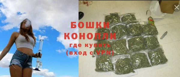 бошки Заводоуковск