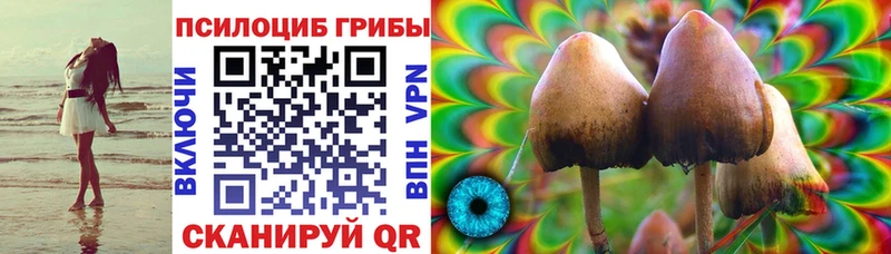 как найти закладки Назрань Псилоцибиновые грибы мухоморы