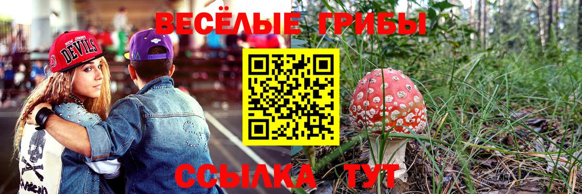 Галлюциногенные грибы GOLDEN TEACHER Назрань